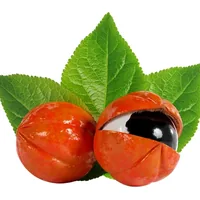 Guarana Seed Extract